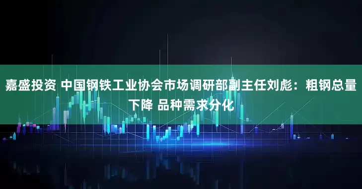 嘉盛投资 中国钢铁工业协会市场调研部副主任刘彪：粗钢总量下降 品种需求分化